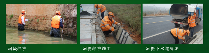 深圳市升阳升清洁公司 河道绿化 河道保洁 河堤养护 下水道疏通